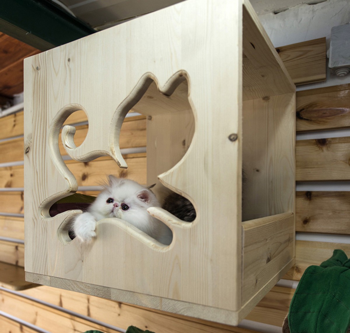cubo4